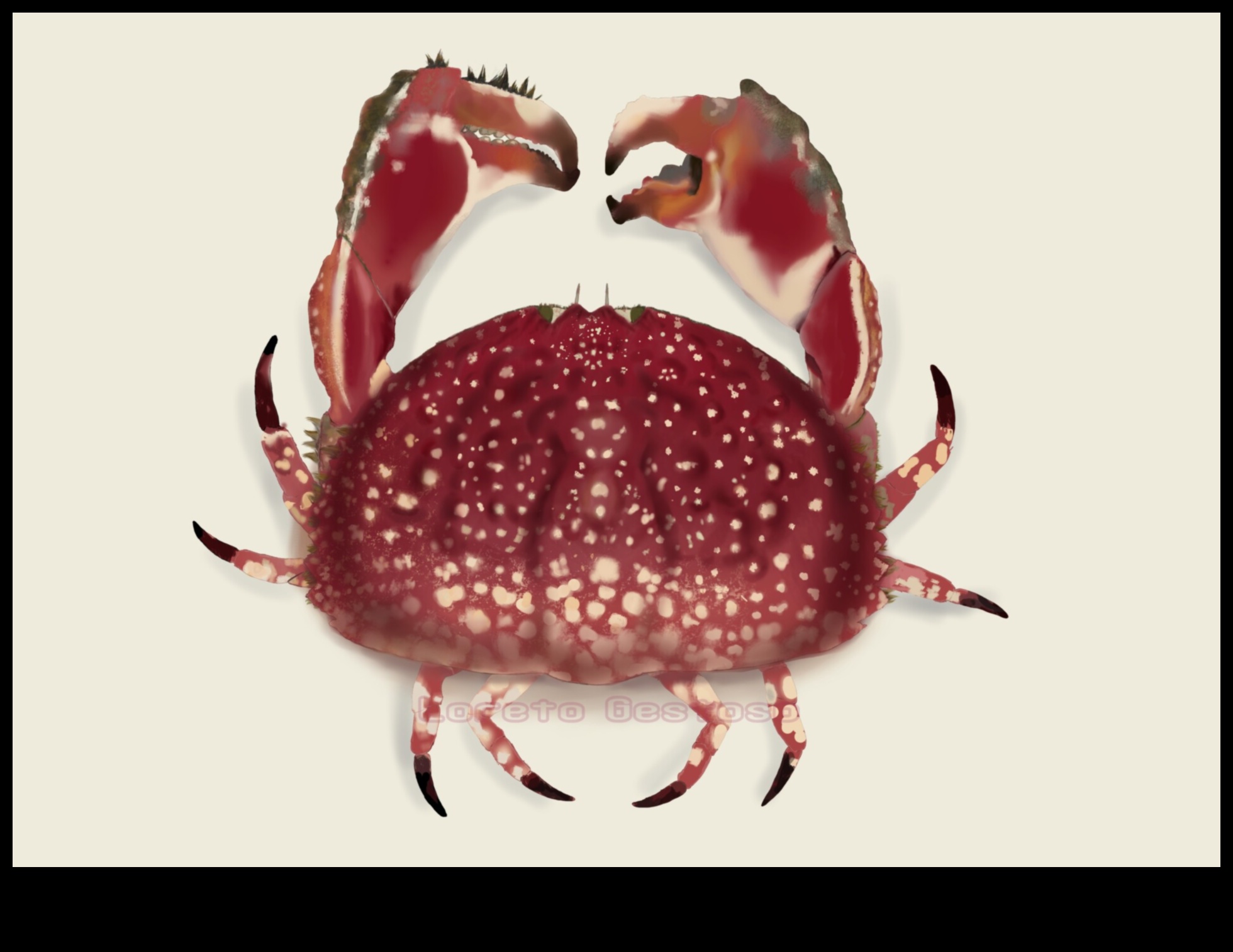 Tehniskais reālisms: detaļu nodošana zinātniskās ilustrācijās