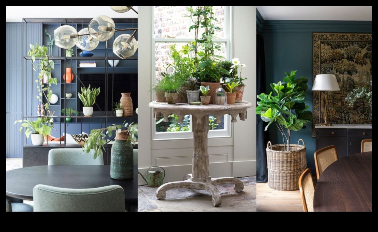 Stils satiekas ar funkcionalitāti: atklājiet aizraujošas dekoru idejas