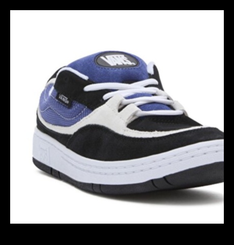 Vans Voyage: daudzpusīgo transportlīdzekļu pasaules izpēte