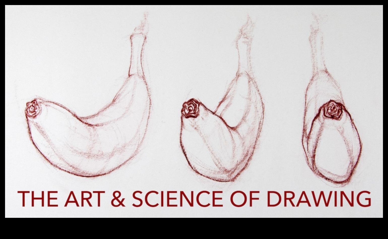 Precizitāte praksē: ideju paušana, izmantojot zinātnisku ilustrāciju