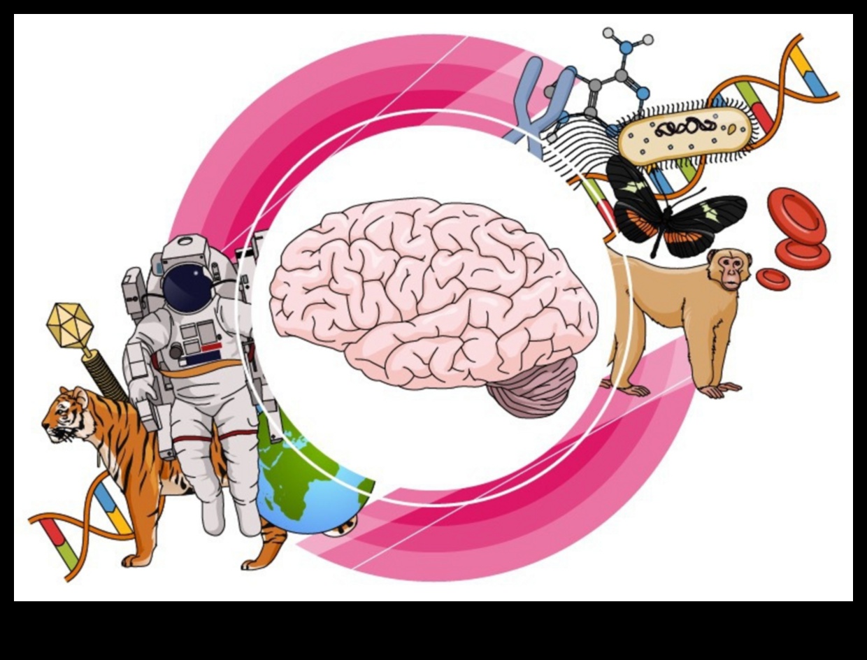 Precizitāte praksē: ideju paušana, izmantojot zinātnisku ilustrāciju