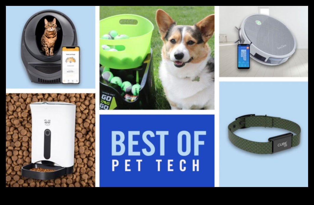 Digitālā mājdzīvnieku aprūpe: aksesuāri mājdzīvnieku pārvaldīšanai ar tālruni