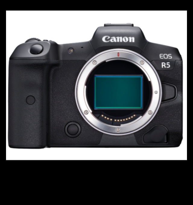 Kraukšķīgs un skaidrs: kameras ar korpusa attēla stabilizāciju