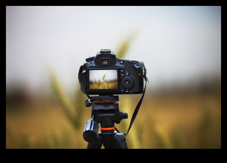 Kraukšķīgs un skaidrs: kameras ar korpusa attēla stabilizāciju