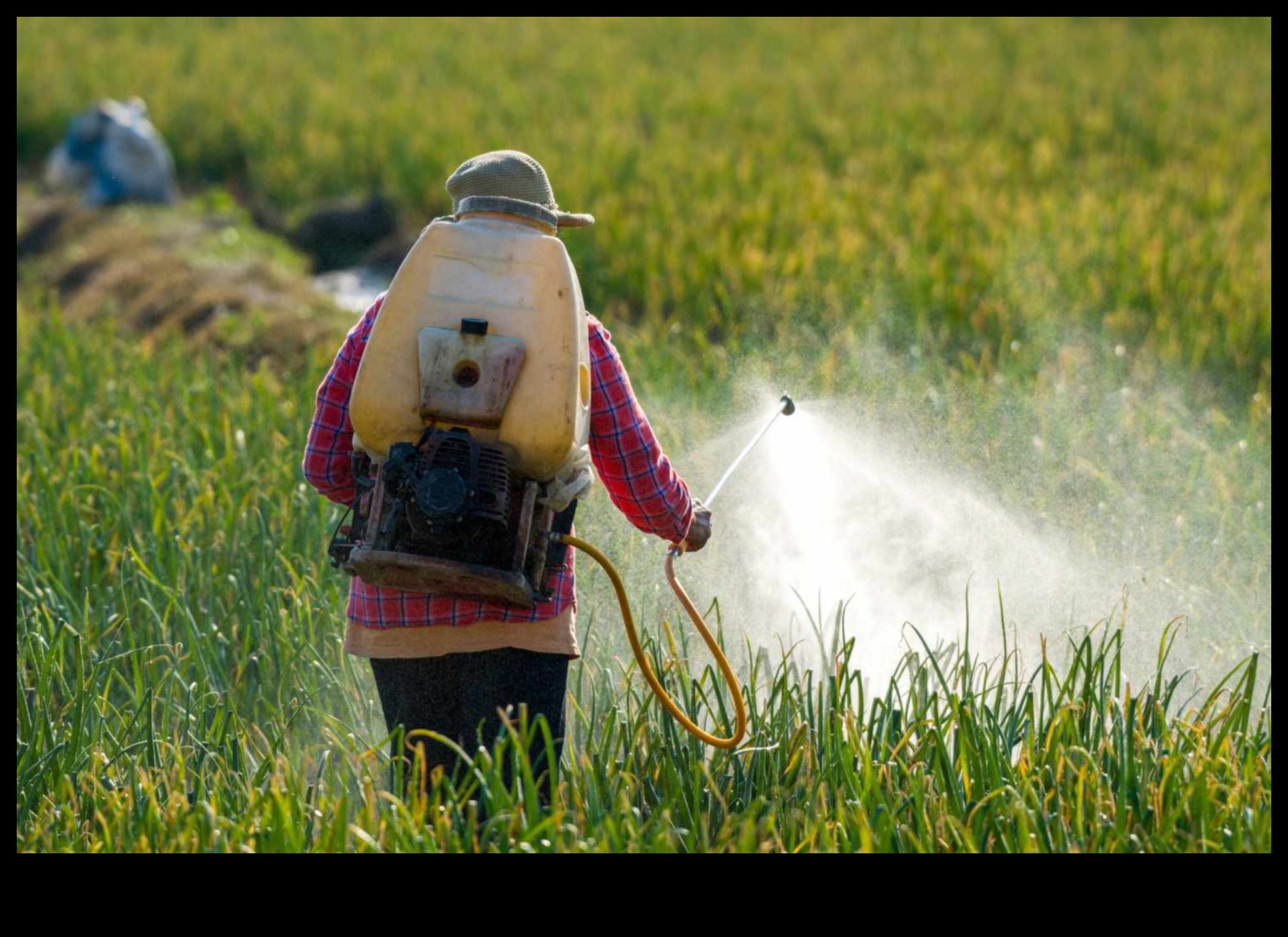 Videi draudzīgas bēgšanas: zaļā revolūcija hibrīdos ceļojumos
