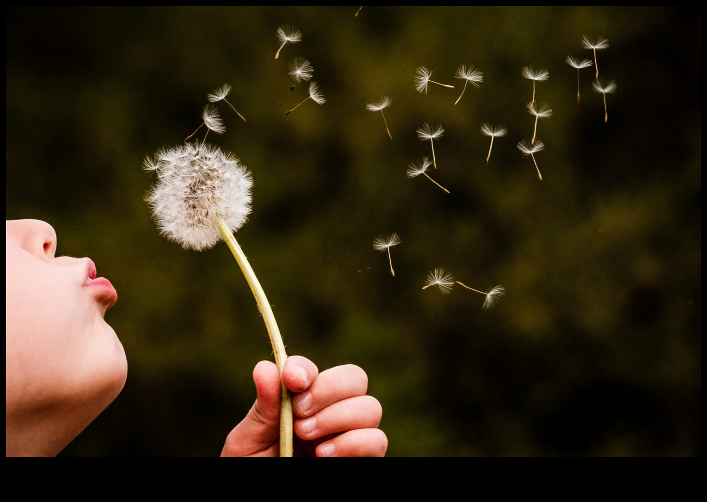 Svētlaimes elpa: prieka ieelpošana, spriedzes izelpošana ar stresa mazināšanas gudrību