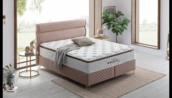 Hibrīda dzīvesveids: ideāls stila, komforta un efektivitātes līdzsvars