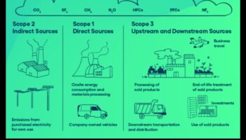 Komercparka pēdas: transportlīdzekļu ietekmes uz uzņēmumu darbību izpēte