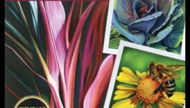 Nokrāsu burvība: izveidojiet burvīgas ainas ar krāsainiem zīmuļiem