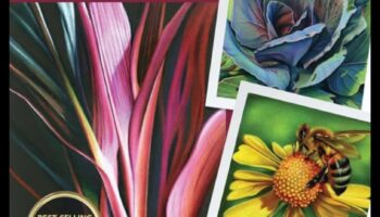 Nokrāsu burvība: izveidojiet burvīgas ainas ar krāsainiem zīmuļiem