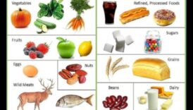 Veiksmīgas paleolīta diētas sastāvdaļu sadalīšana
