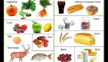Veiksmīgas paleolīta diētas sastāvdaļu sadalīšana