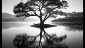 Rāmas pārdomas: klusuma būtības uzzīmēšana