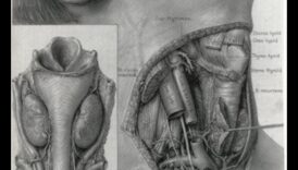 Tehniskais reālisms: detaļu nodošana zinātniskās ilustrācijās
