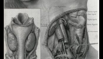 Tehniskais reālisms: detaļu nodošana zinātniskās ilustrācijās