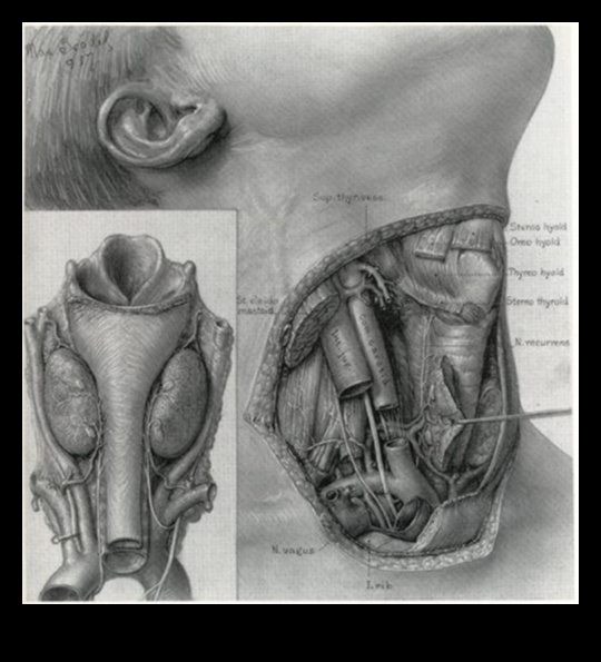 Tehniskais reālisms: detaļu nodošana zinātniskās ilustrācijās