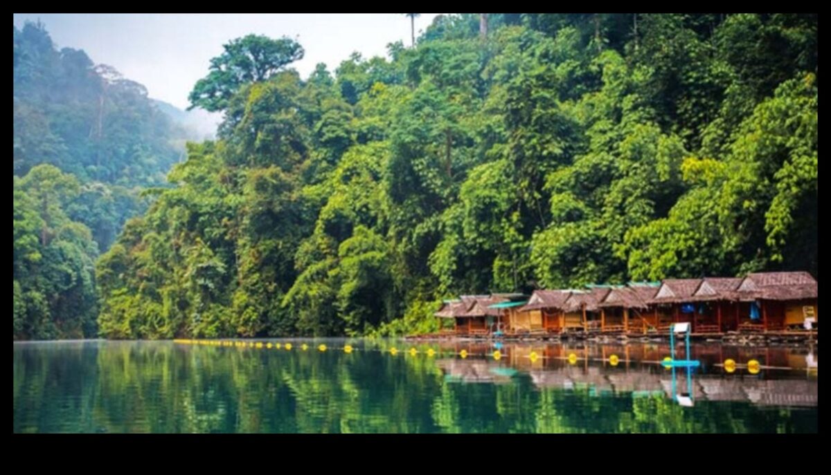 Videi draudzīgas bēgšanas: zaļā revolūcija hibrīdos ceļojumos