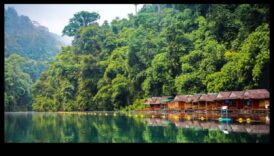 Videi draudzīgas bēgšanas: zaļā revolūcija hibrīdos ceļojumos