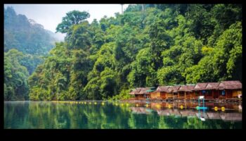 Videi draudzīgas bēgšanas: zaļā revolūcija hibrīdos ceļojumos